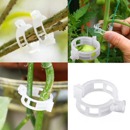 Reusable Plant Support Clips