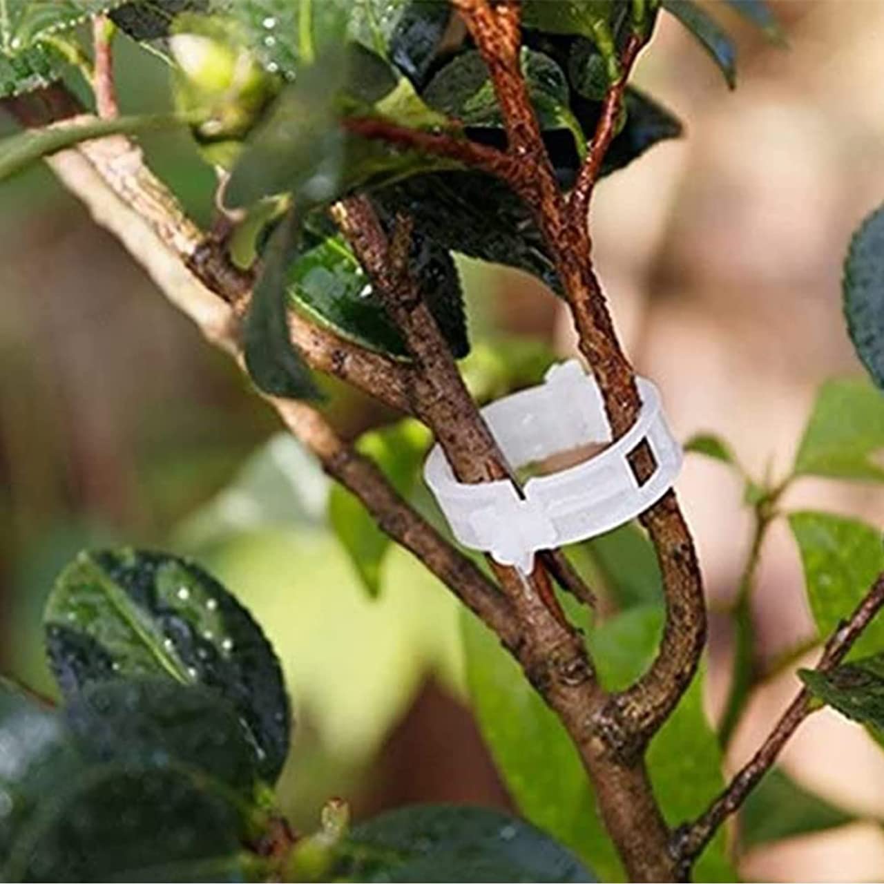 Reusable Plant Support Clips