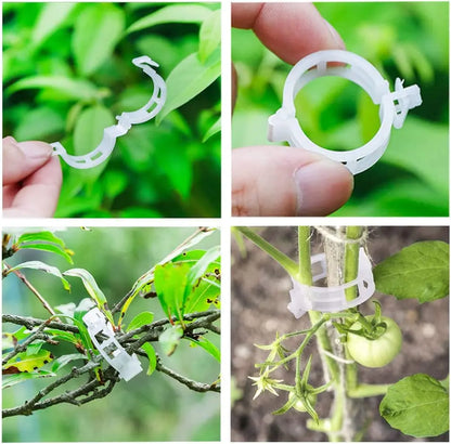 Reusable Plant Support Clips