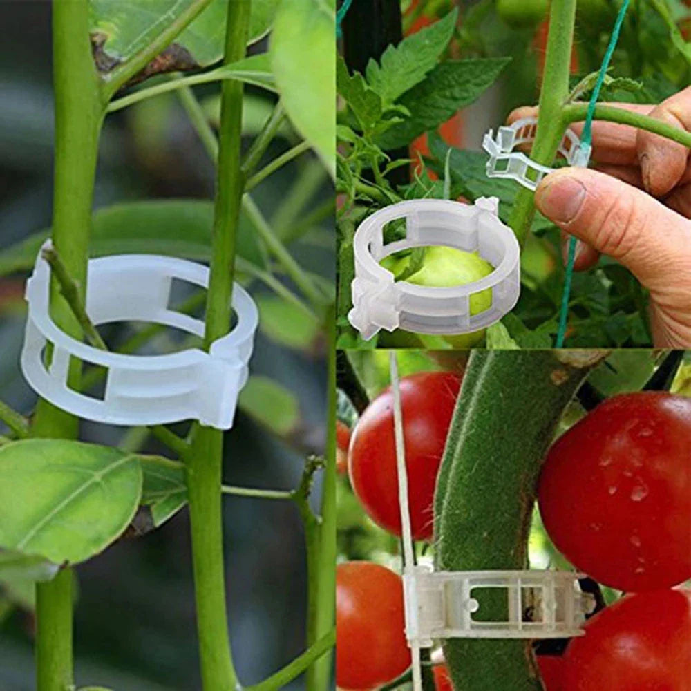 Reusable Plant Support Clips